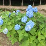 鳩山町の農村公園へε≡≡ﾍ( ´Д`)ﾉ
