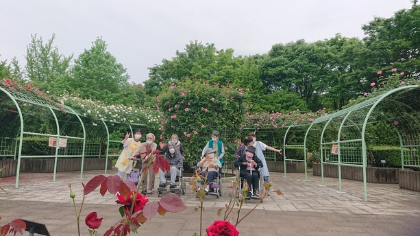 昨日に引き続き(*’▽’)