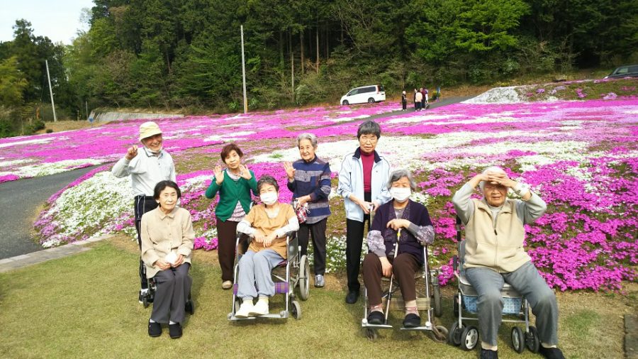 ときがわ町へ芝桜を見に行きました(´艸｀*)
