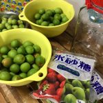 6月恒例の…