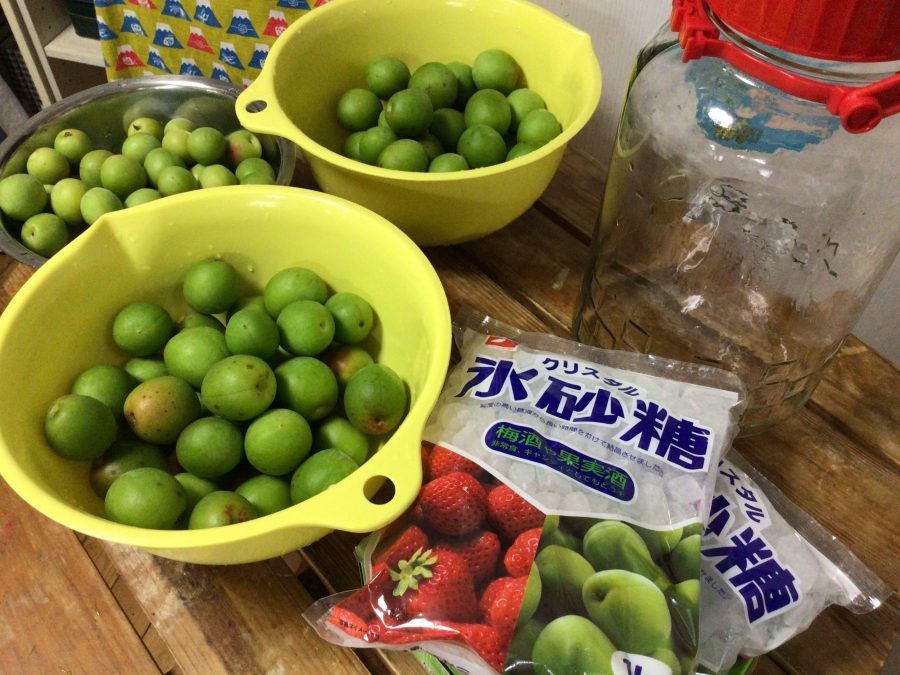 6月恒例の…