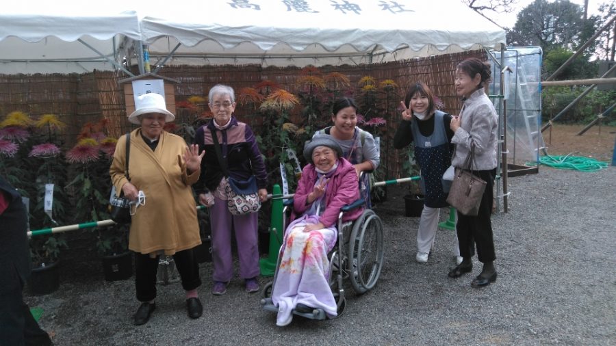 高麗神社の菊花展